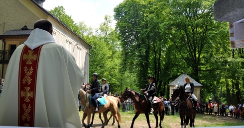 Na Górze Świętej Anny spotkali się miłośnicy koni i konnych zaprzęgów