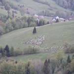 Ochotnica Górna. Setne urodziny św. Jana Pawła II