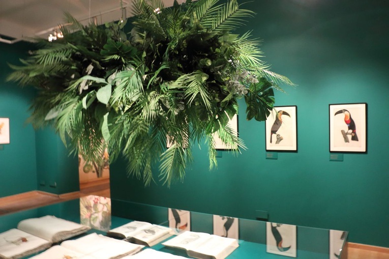 Wystawa "Rośliny i zwierzęta" w galerii Miedzynarodowego Centrum Kultury
