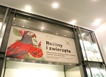 Wystawa "Rośliny i zwierzęta" w galerii Miedzynarodowego Centrum Kultury