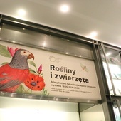 Wystawa "Rośliny i zwierzęta" w galerii Miedzynarodowego Centrum Kultury