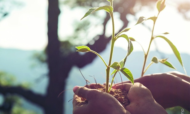 Modlitwa całego świata