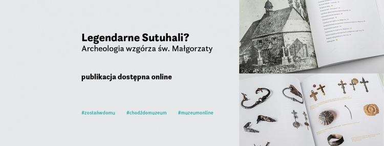 Nowe cenne odkrycia bytomskich archeologów i darmowa książka online