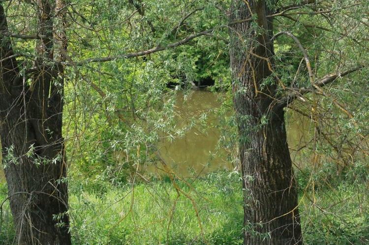 Wielków 10 lat po powodzi