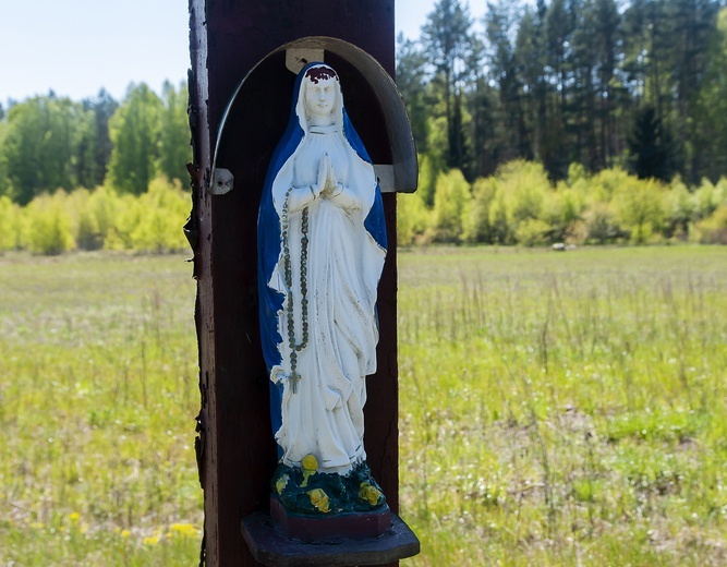 Majowa galeria. Kapliczki maryjne w diecezji