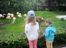 Kraków. Zoo znów otwarte
