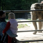 Krakowskie zoo znów przyjmuje gości