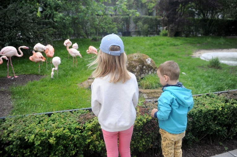 Krakowskie zoo znów przyjmuje gości