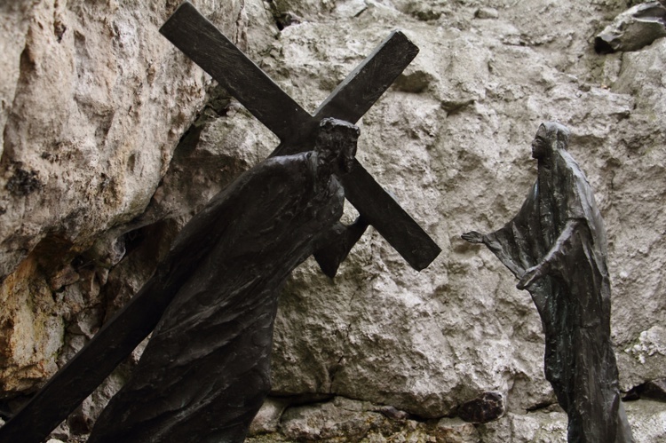 Jubileusz 70-lecia pracy twórczej prof. Wincentego Kućmy