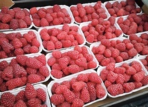 ▲	Kilogram malin teraz kosztuje nawet 60 zł.