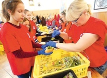 Założycielka zapewne nie spodziewała się, że z ziarna i drzewa, o których pisała, powstanie wielopokoleniowy las rąk gotowych do bezinteresownej pomocy.