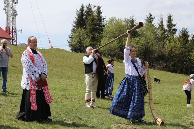 Mieszanie owiec u bacy Piotra Kohuta w Koniakowie - 2020