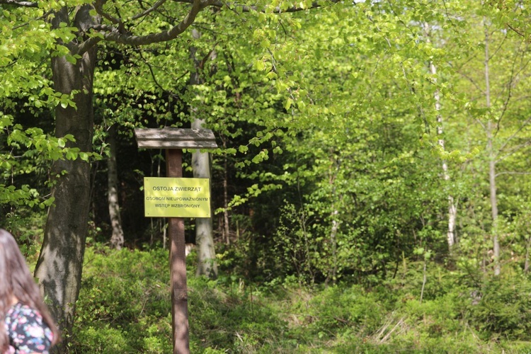 Majowa modlitwa przy kapliczce Matki Bożej w Górnej Leszczynie w Istebnej