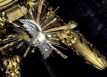 Gołębica symbolizująca Ducha Świętego w świdnickiej katedrze.