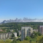 Pożar złomowiska samochodów w gdańskim porcie