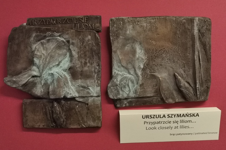 Wystawa medalierska. Życie ZaDane w MAW