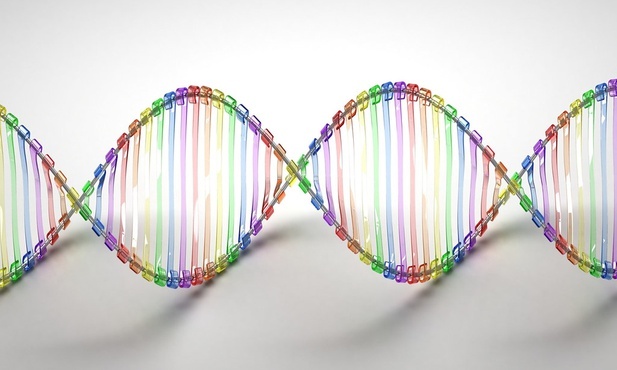 Co pływało w "pierwotnej zupie"? Możliwe, że hybryda RNA i DNA