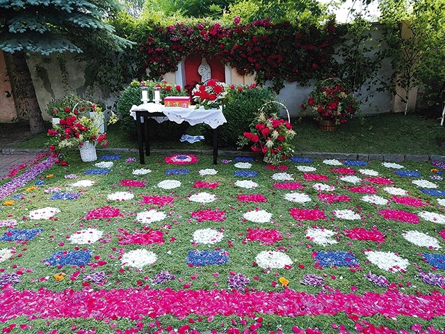 – Płatki kwiatków nie mogą być zebrane zbyt wcześnie – wyjaśnia Teresa Hamielec.