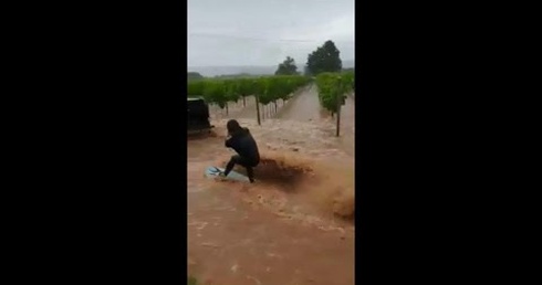 I trevigiani e il maltempo: ecco lo sci d'acqua tra le vigne