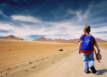 Podwójne prawo grawitacji