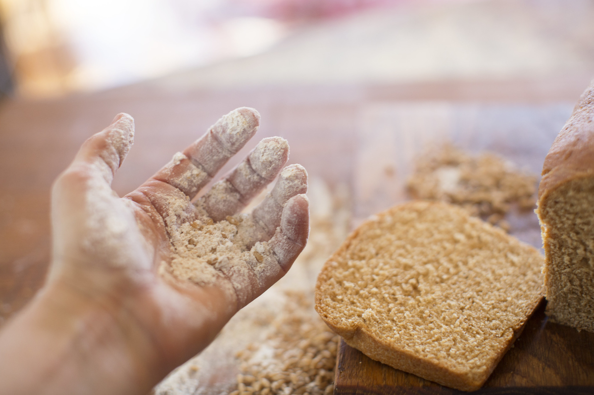 Wytłumacz Jakie Znaczenie Miał Chleb Dla Ludzi Zamkniętych W Getcie Akcja „Chleb dla Syrii”