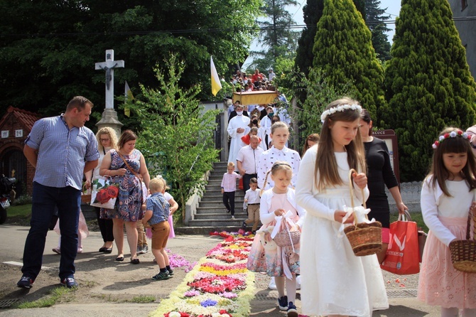 Procesja Bożego Ciała po kwietnych dywanach w Kluczu