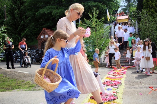 Procesja Bożego Ciała po kwietnych dywanach w Kluczu