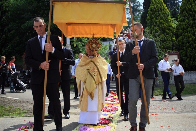 Procesja Bożego Ciała po kwietnych dywanach w Kluczu