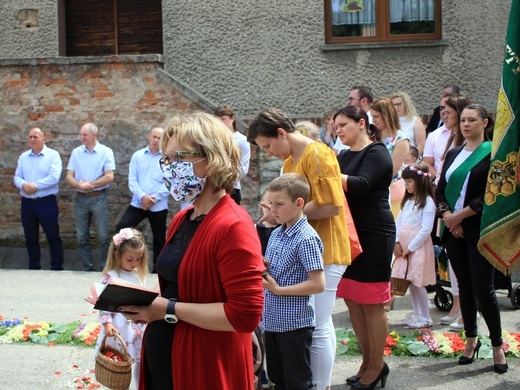 Procesja Bożego Ciała po kwietnych dywanach w Kluczu