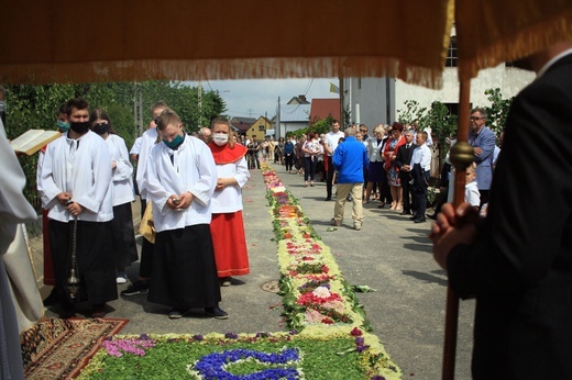 Procesja Bożego Ciała po kwietnych dywanach w Kluczu