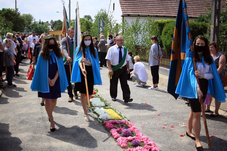 Procesja Bożego Ciała po kwietnych dywanach w Kluczu