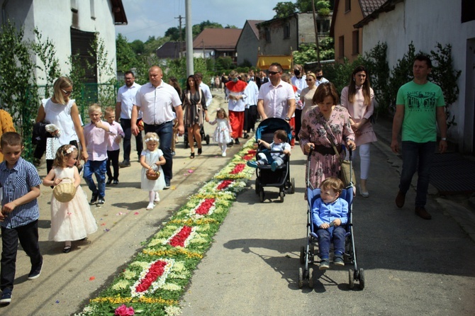 Procesja Bożego Ciała po kwietnych dywanach w Kluczu