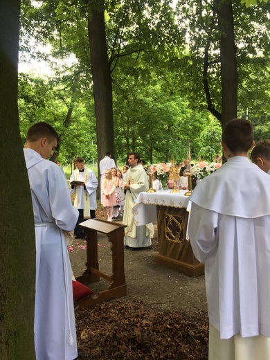 Świdnica. Parafia pw. Najświętszego Serca Pana Jezusa