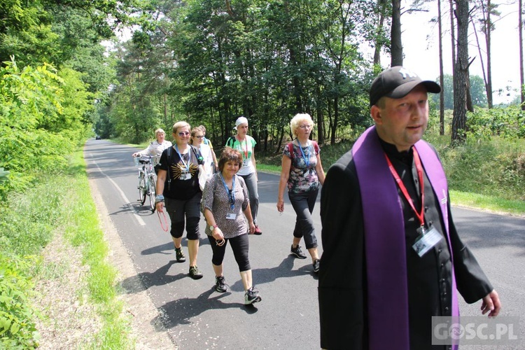 Krosno Odrzańskie. Parafialna pielgrzymka w intencji powołań