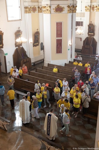 Pielgrzymka chorych i cierpiących oraz służby zdrowia do Rokitna