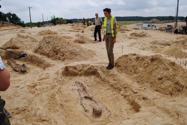 Cmentarzysko w Jeżowem