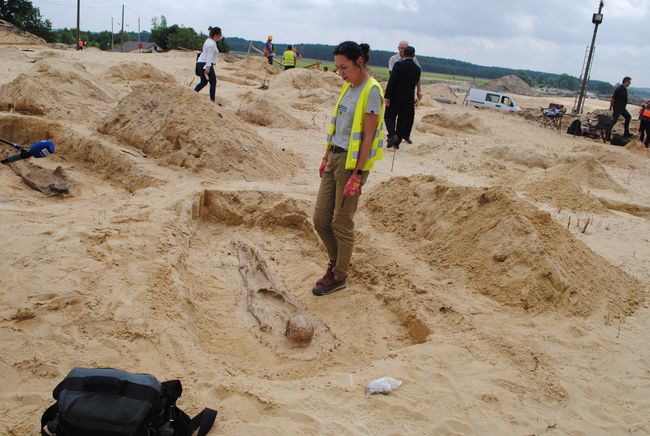 Cmentarzysko w Jeżowem