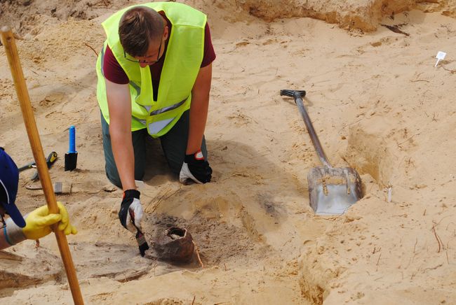 Cmentarzysko w Jeżowem