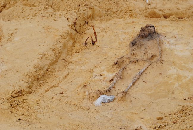 Cmentarzysko w Jeżowem