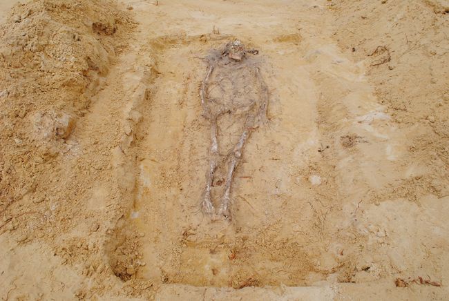 Cmentarzysko w Jeżowem