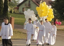 Borowa k. Mielca: Sto papieskich balonów