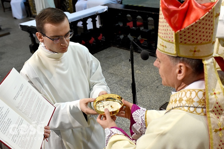 Akolitat w świdnickiej katedrze