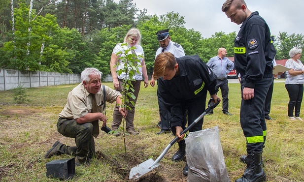 Kolejne owoce pamięci zostały posadzone na terenie województwa łódzkiego.