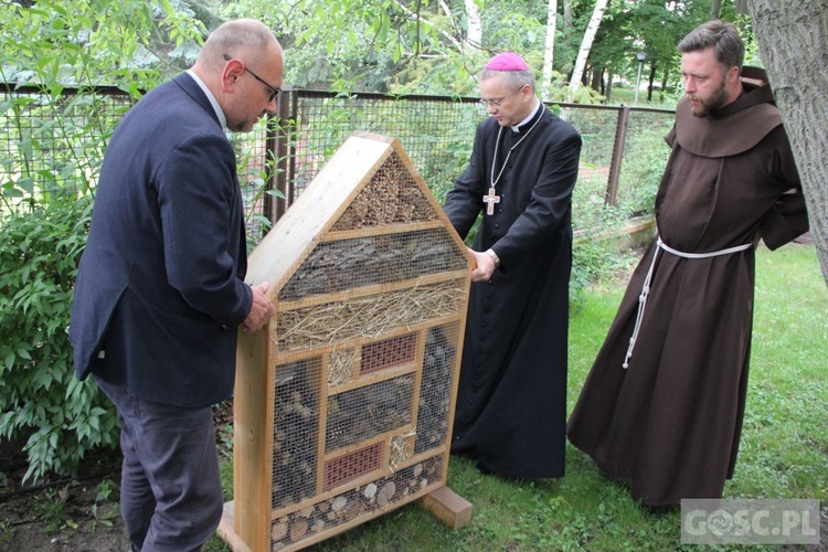 Hotel dla owadów przy Domu Biskupim w Zielonej Górze