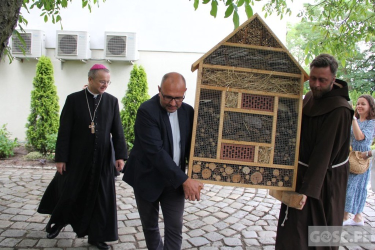 Hotel dla owadów przy Domu Biskupim w Zielonej Górze