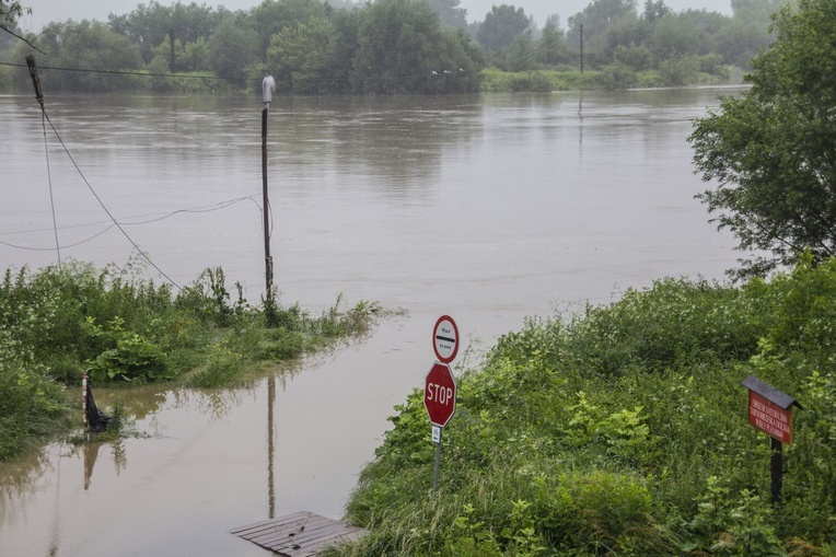 Wisła w Tarnobrzegu przybrała