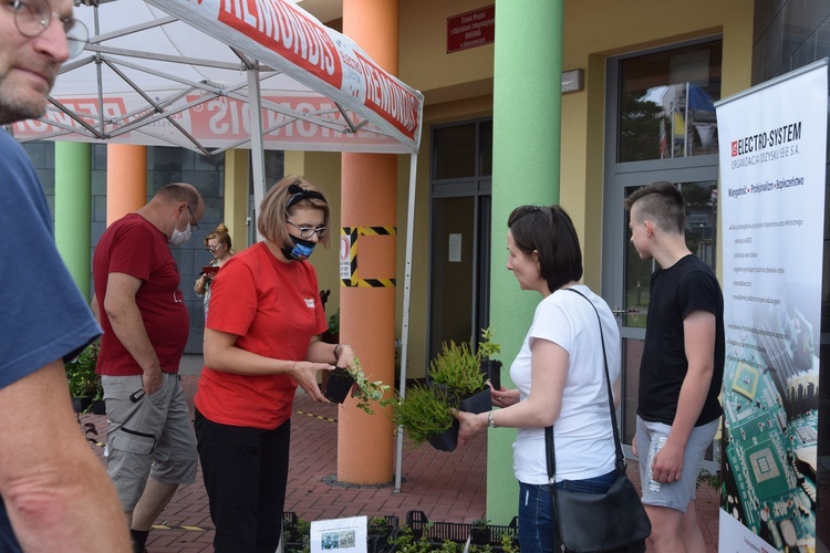 Za uzyskane punkty można było odebrać rośliny. 