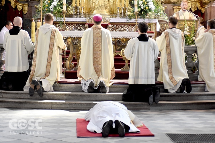 Święcenia kapłańskie ks. Dominika Sroki SJ