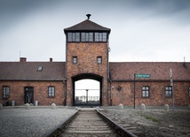 Odnaleziona po latach obrączka więźnia KL Auschwitz trafi do jego prawnuka