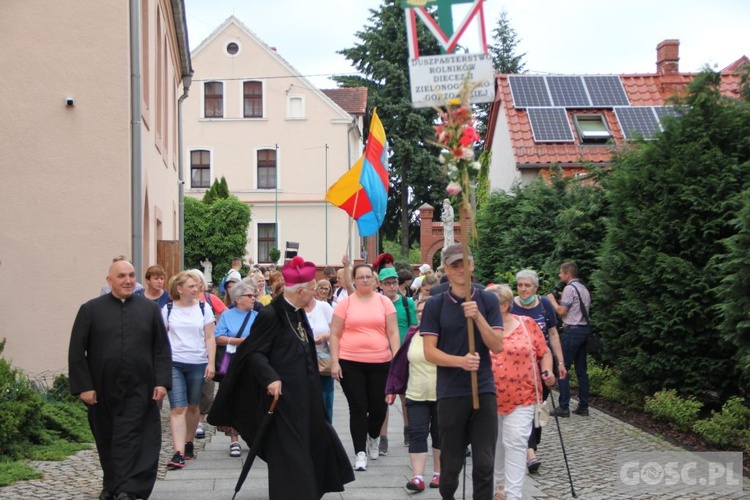 37. Piesza Pielgrzymka z Otynia na Jasną Górę